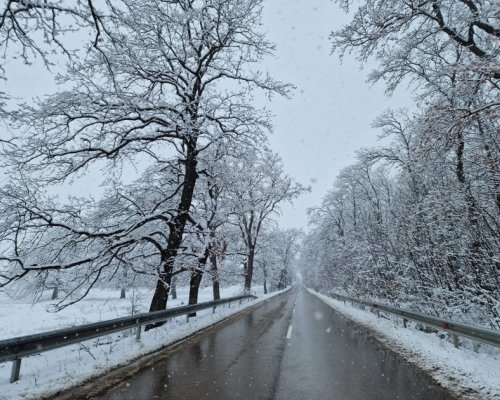 АПИ призова шофьорите да тръгват на път със зимни гуми
