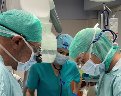 В Световния ден на здравето политици благодариха на медиците и посочиха, че държавата трябва да направи повече за здравеопазването