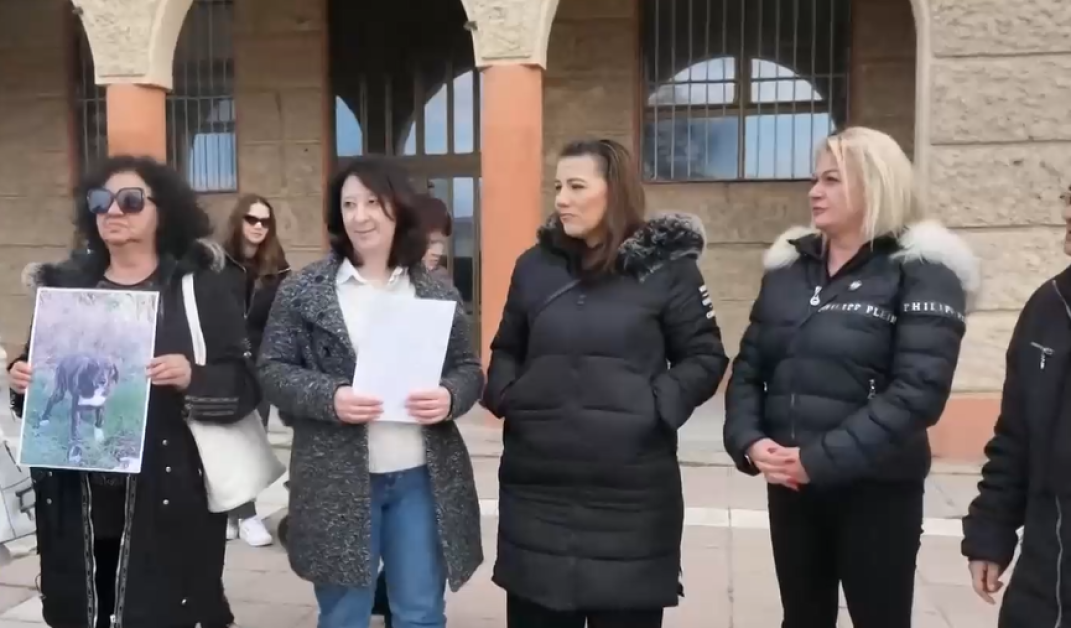 Протест в Бобов дол заради поредно масово отравяне на бездомни кучета