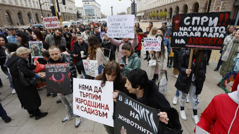 Пореден протест с искане за по-ефективни присъди за насилниците на животни Пореден протест с искане за по-ефективни присъди за насилниците на животни