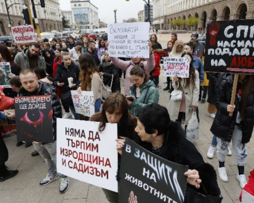 Пореден протест с искане за по-ефективни присъди за насилниците на животни