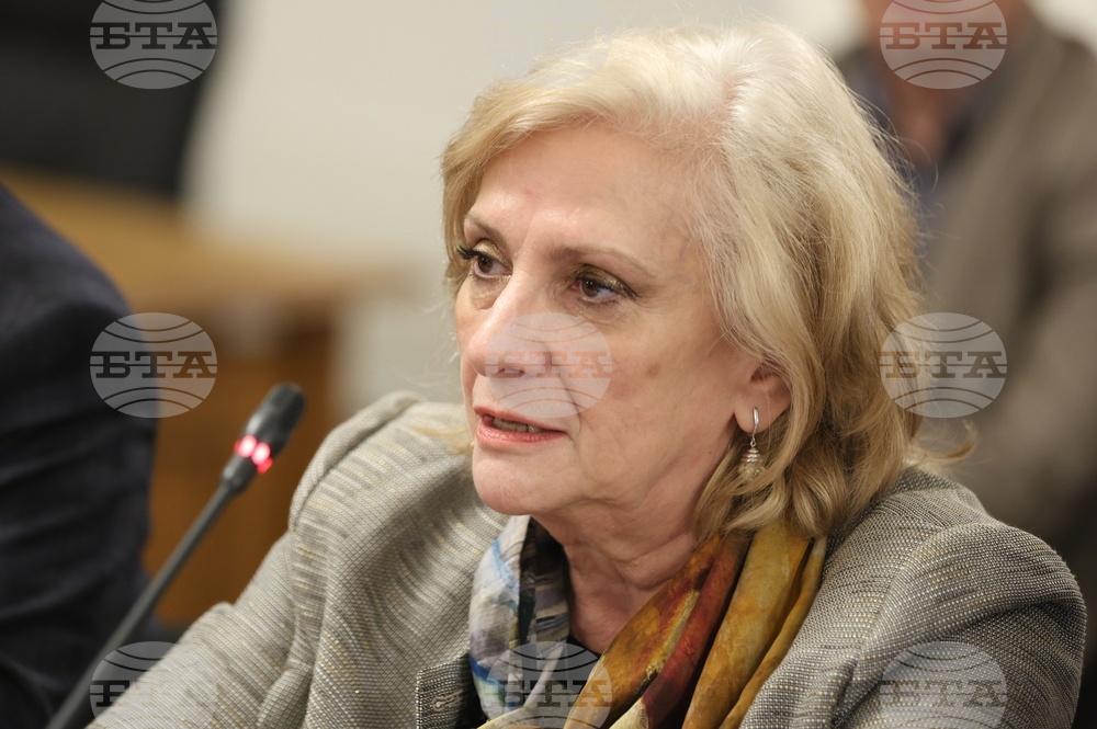 България има нужда от правителство, което да работи сега, каза Искра Михайлова България има нужда от правителство, което да работи сега, каза Искра Михайлова