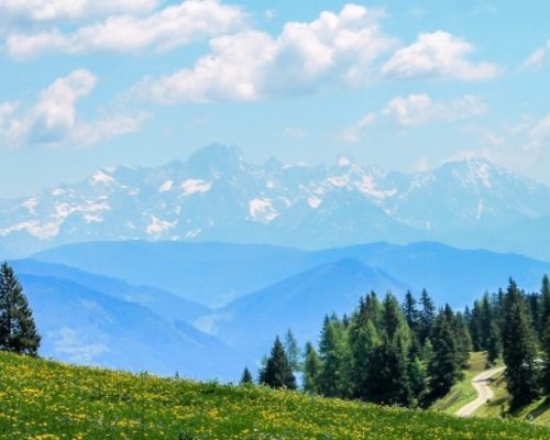 ПСС: Условията за туризъм в планините са добри