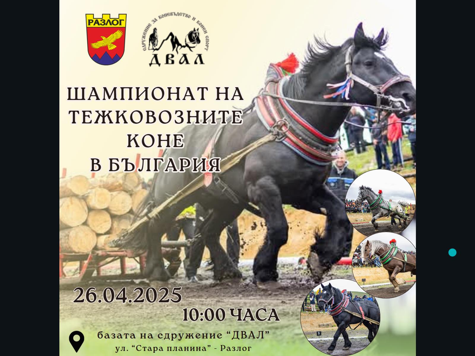 Най-силните коне на България мерят сили в Разлог