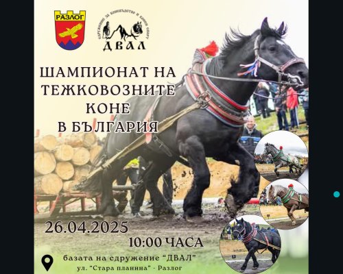 Най-силните коне на България мерят сили в Разлог