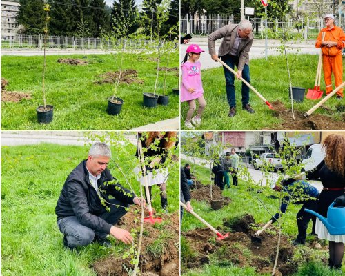 Kметът инж. Красимир Герчев засади дръвчета по случай Деня на Земята