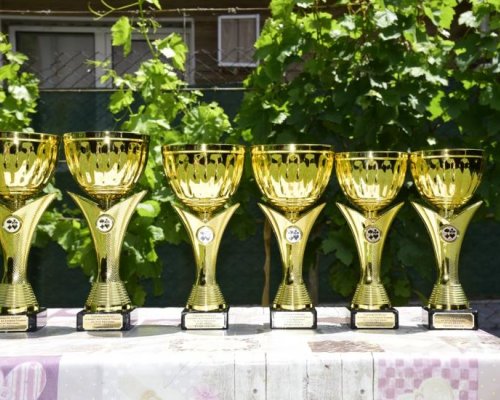 Благотворителен турнир по белот в памет на Георги Тошев в с. Крупник
