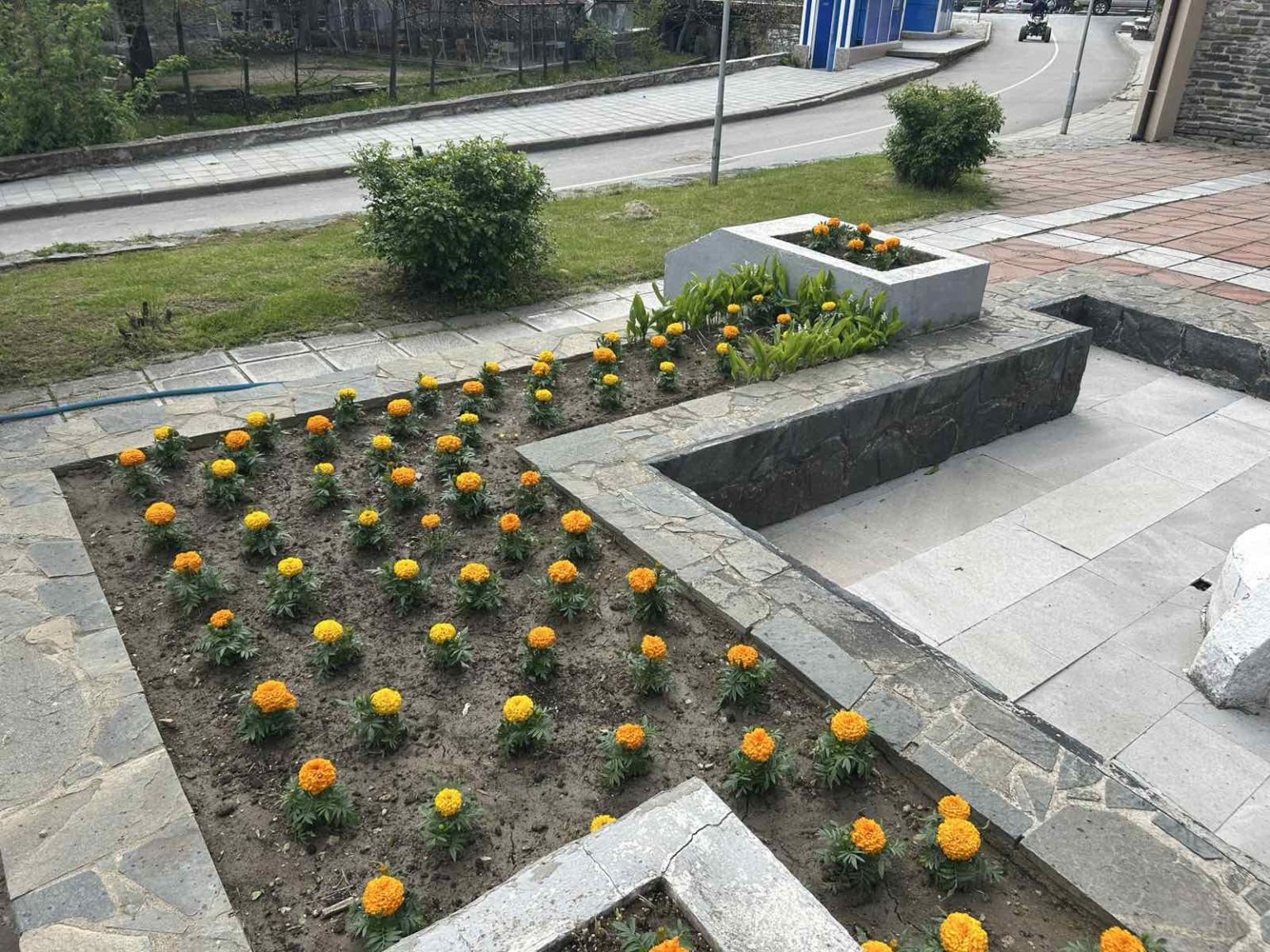 Белица: Феерия от красота Белица: Феерия от красота