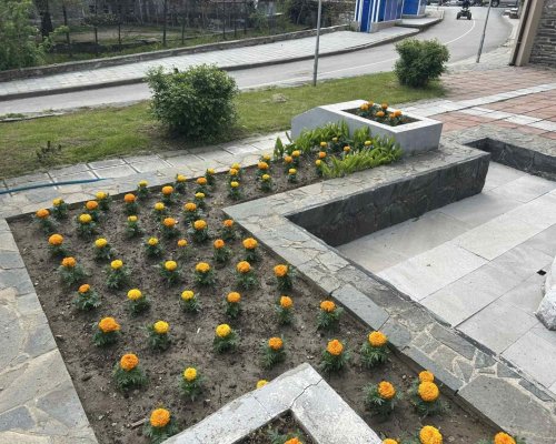 Белица: Феерия от красота