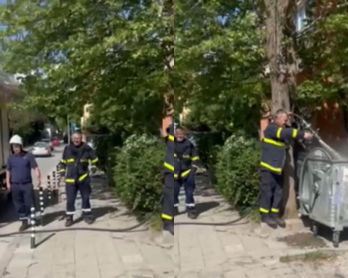 Кош за боклук пламна до градската градина в Благоевград