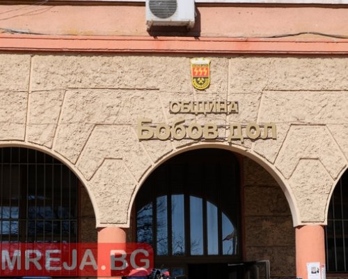 Селски кметове и общинари броят бездомните кучета в Бобов дол
