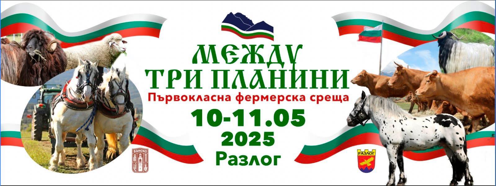 Между три планини събира отново елита сред фермерите край Разлог Между три планини събира отново елита сред фермерите край Разлог