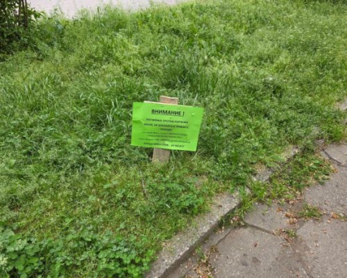 Пазете се: Започна пръскането на тревните площи в Благоевград