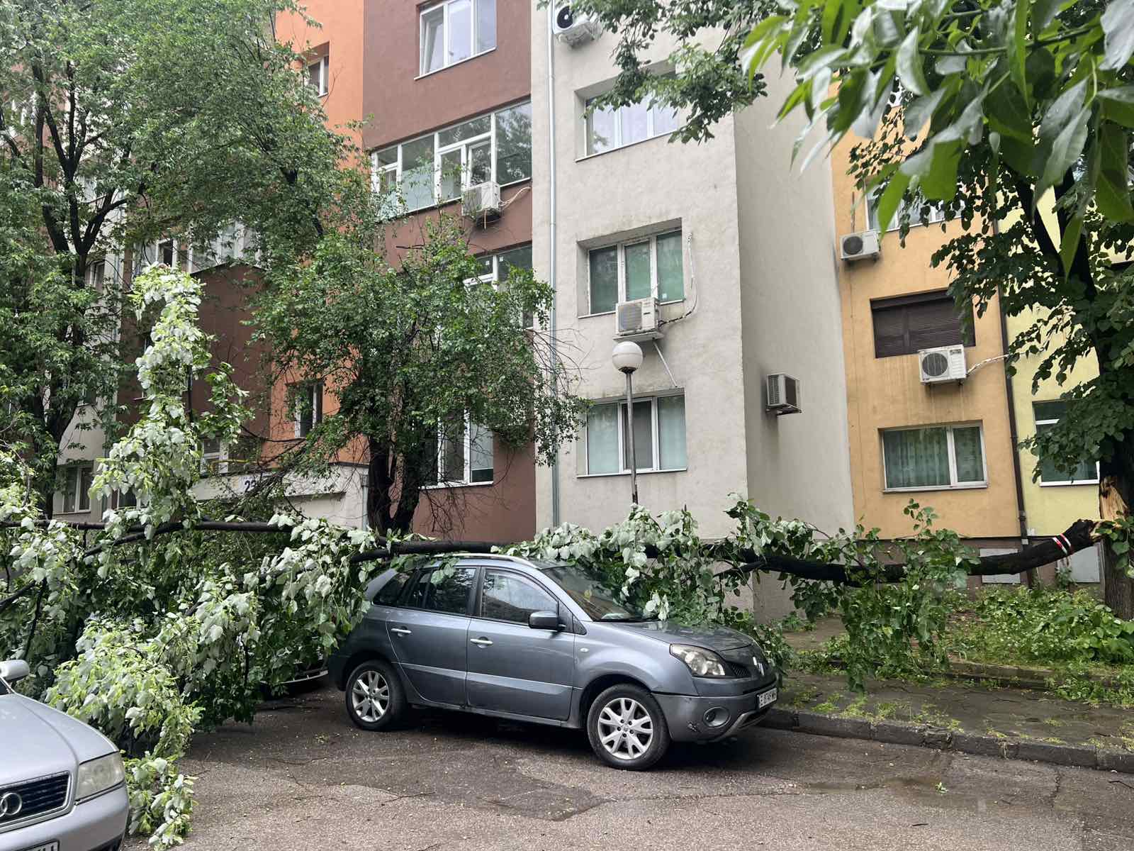 Клон от дърво падна върху коли в Благоевградския кв. Запад, граждани са подали сигнал преди седмица