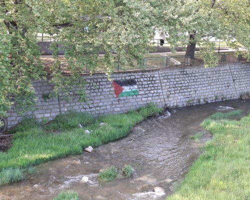 Кой нарисува знамето на Палестина над река Бистрица?