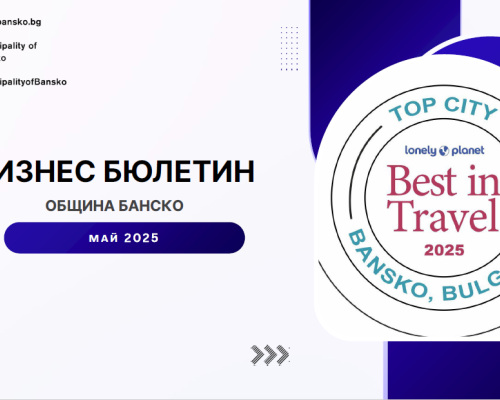 ЕЛЕКТРОНЕН БИЗНЕС БЮЛЕТИН