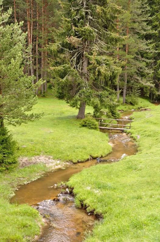 ПОКАНА ЗА ЗЕМЛЯЧЕСКИ СЪБОР В СЕЛО ОСЕНОВО ПОКАНА ЗА ЗЕМЛЯЧЕСКИ СЪБОР В СЕЛО ОСЕНОВО