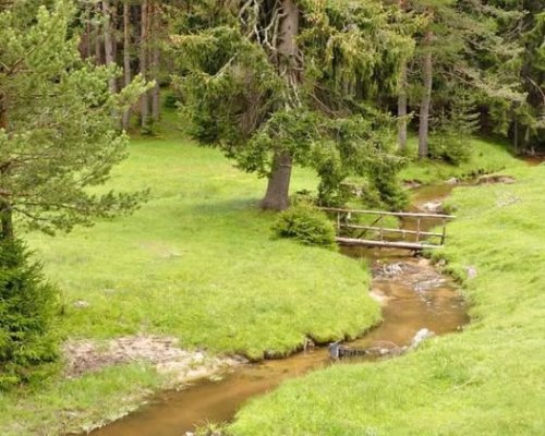 ПОКАНА ЗА ЗЕМЛЯЧЕСКИ СЪБОР В СЕЛО ОСЕНОВО