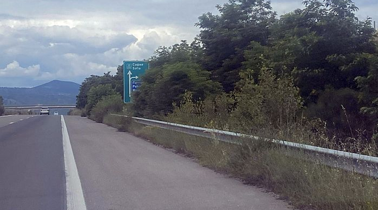 Дървета и храсти пречат на видимостта и скриват знаци по АМ Струма и Е-79 Дървета и храсти пречат на видимостта и скриват знаци по АМ Струма и Е-79