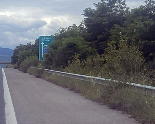 Дървета и храсти пречат на видимостта и скриват знаци по АМ  Струма  и Е-79
