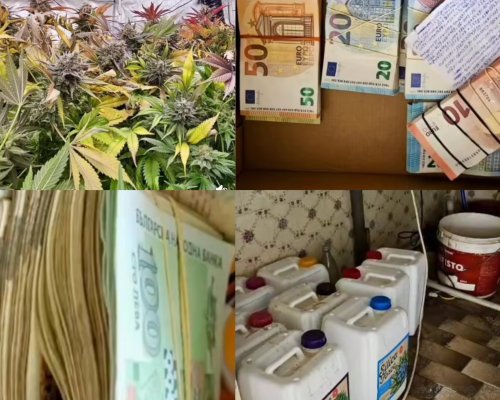 Високотехнологична оранжерия за отглеждане на канабис и над 13 кг суха маса открити при спецоперация на ГДБОП