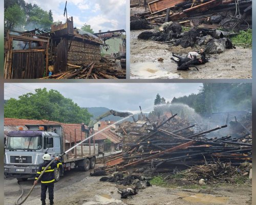 Мълния е причината за пожара в Якоруда при който загинаха 40 кози (ВИДЕО)