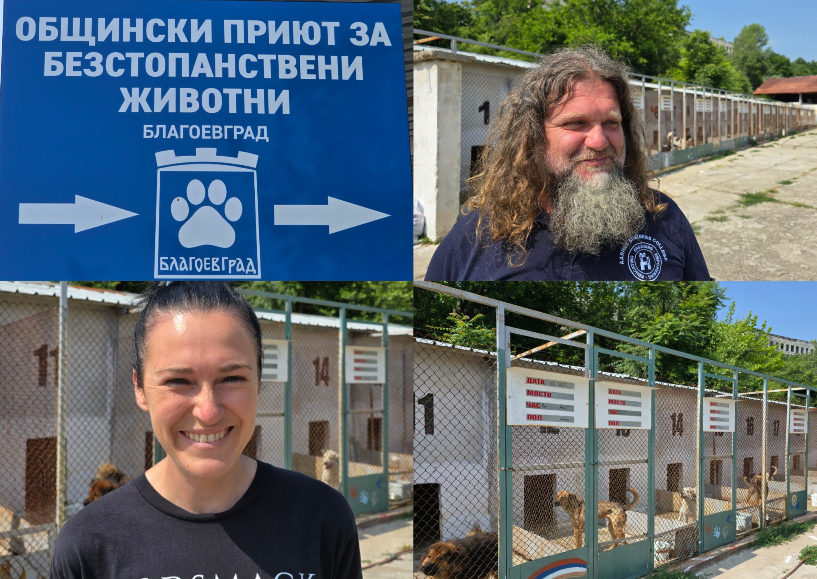 ПРИЮТЪТ В БЛАГОЕВГРАД ЗА ПРИМЕР: Над 700 обработени кучета и 200 осиновени,  интервю с управителя Ирена Везенкова