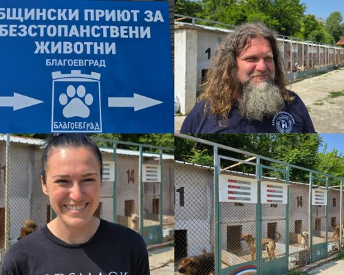 ПРИЮТЪТ В БЛАГОЕВГРАД ЗА ПРИМЕР: Над 700 обработени кучета и 200 осиновени,  интервю с управителя Ирена Везенкова