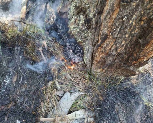 Продължава гасенето на пожара в Рила планина
