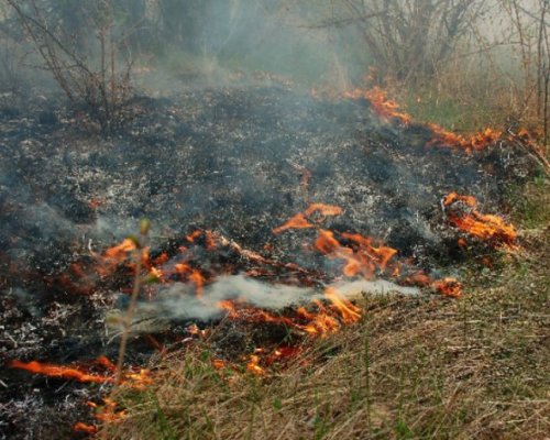 Пламна гората над голям хотелски комплекс край Велинград