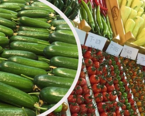 Ако се масовизират фермерските пазари у нас-доста мутренски картели ще умрат от глад