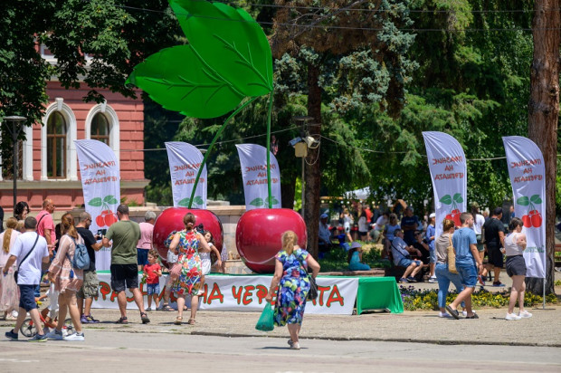 Стартира Празник на черешата за всички в Кюстендил Стартира Празник на черешата за всички в Кюстендил