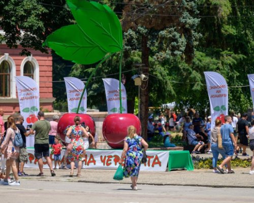 Стартира  Празник на черешата за всички  в Кюстендил