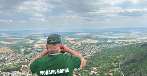 С  кървави следи ще примамват пантерата в Шуменското плато