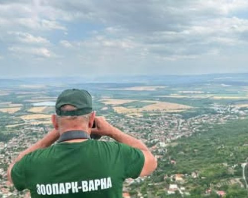 С  кървави следи ще примамват пантерата в Шуменското плато