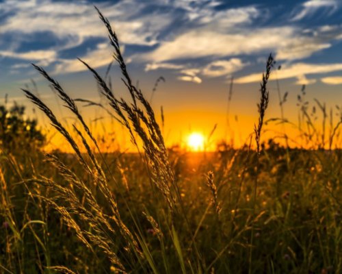 Слънчево в неделя, предстои гореща седмица