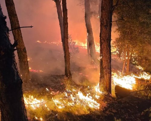 Голям пожар бушува над с. Илинденци, общ. Струмяни