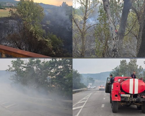 Голям пожар бушува край Бобошево