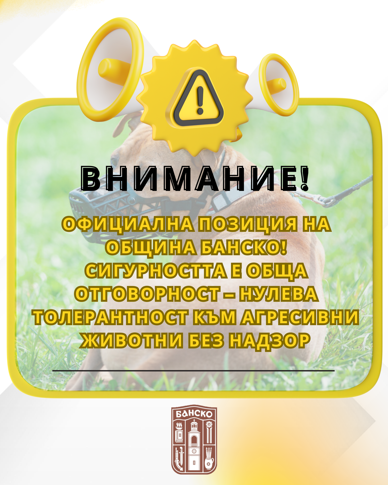 Официална позиция на Община Банско сигурността е обща отговорност- нулева толерантност към агресивни животни без надзор
