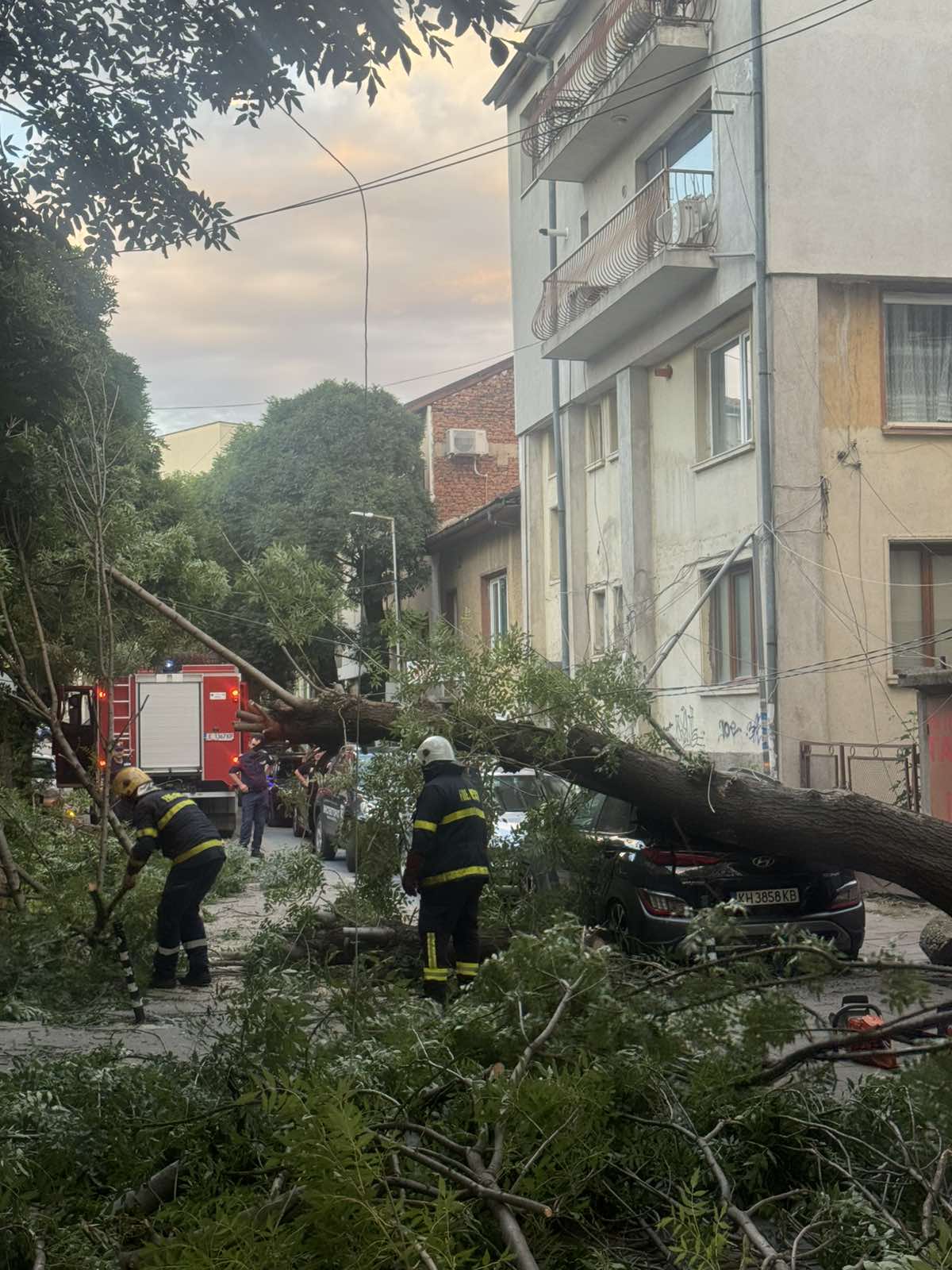 Огромно дърво падна върху паркиран автомобил в центъра на Благоевград Огромно дърво падна върху паркиран автомобил в центъра на Благоевград