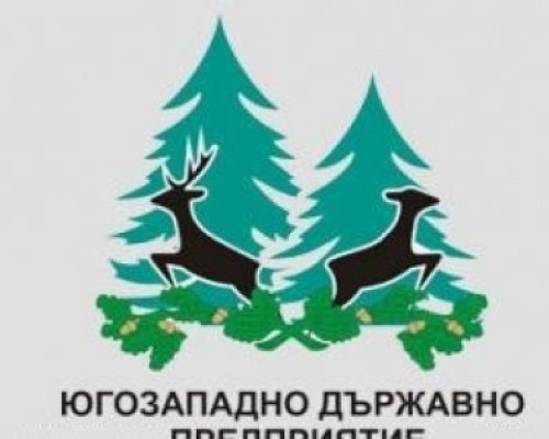 Спас Попадиин спечели конкурса за член на УС на ЮЗДП
