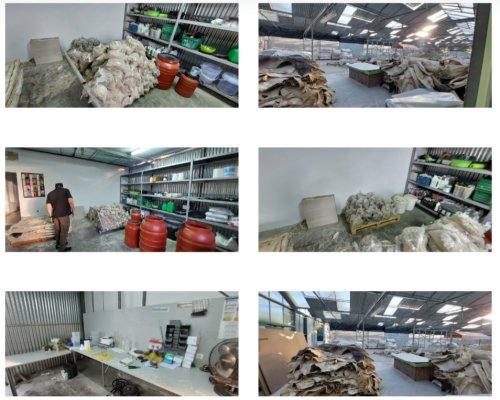 Разбиха престъпна организация, импрегнирали сурови говежди кожи с кокаин