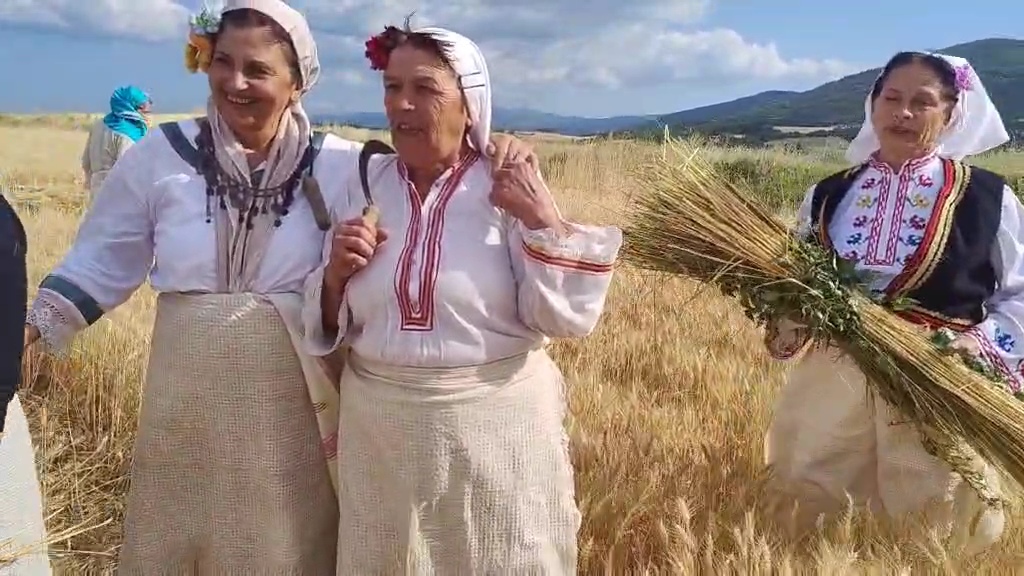 Логодажките баби дадоха старт на жътвата в Благоевградско