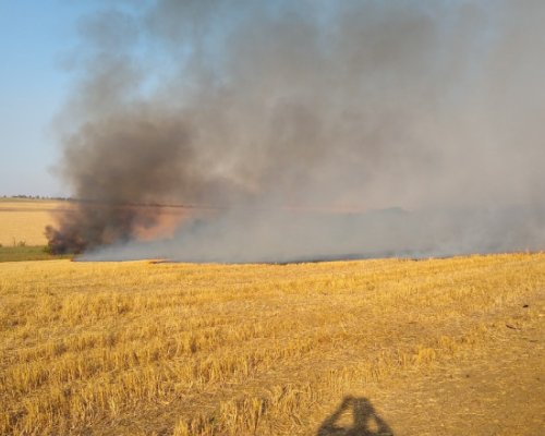 Строги забрани и мерки заради пожароопасния сезон в Кресна