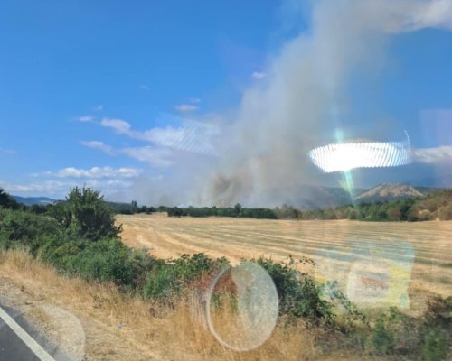 Голям пожар между Кочериново и Мурсалево, горят сухи треви и храсти