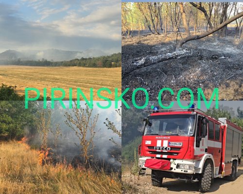 Пожарът край с. Мурсалево е обхванал площ около 2000 дка