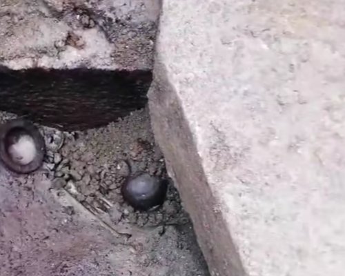 Голямо археологическо откритие: Неограбен гроб с богат инвентар откриха в Хераклея Синтина