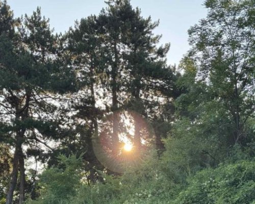 Седмицата стартира със слънчево и горещо време