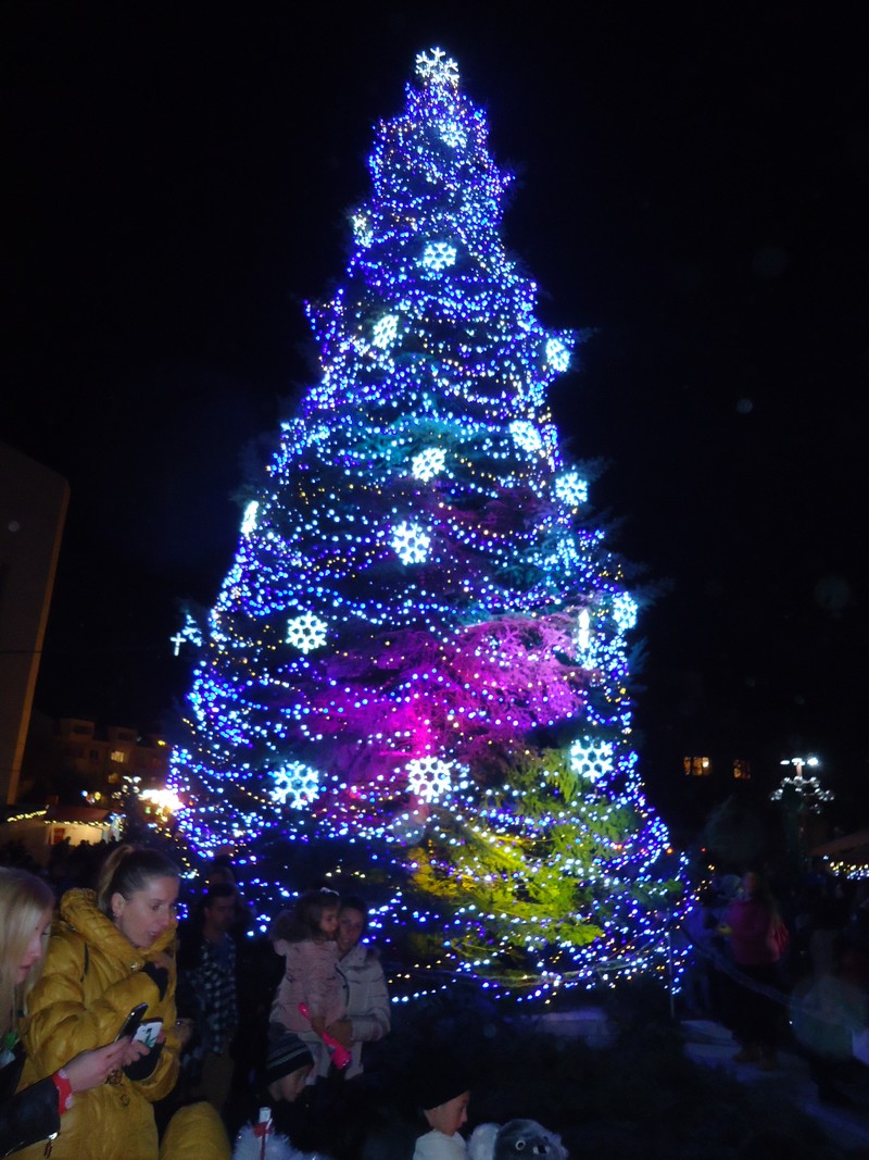 Коледната елха в Сандански ще грейне на 7-ми декември (ПРОГРАМА)