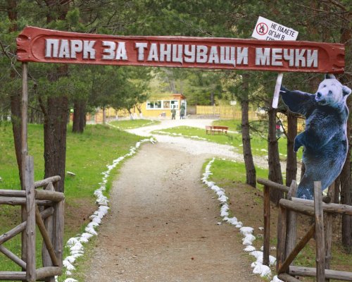 Пуснаха за автомобили пътя до Парка за мечки в Белица